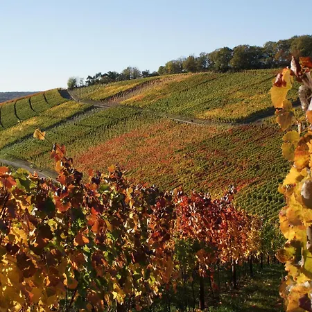 Am Weingut Lingen